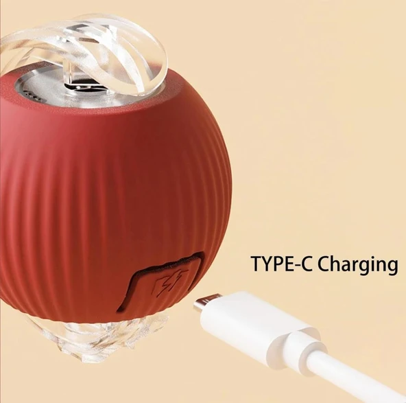 Lepus İnteraktif Şarjlı Kedi Oyuncağı - Resim 4