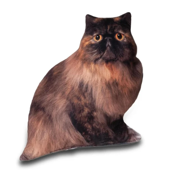 Lepus 3 Boyutlu Kedi Yastığı No 6 40x25 Cm ürün görseli 1