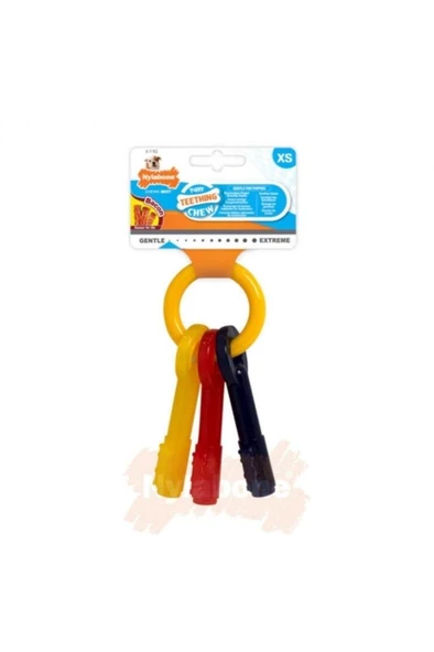 Nylabone Bacon Domuz Aromalı Çiğneme Kemiği XSmall ürün görseli 1
