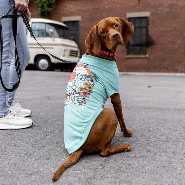 GF Pet Graphic Tee Köpek Tshirt Aqua Large - Resim 4
