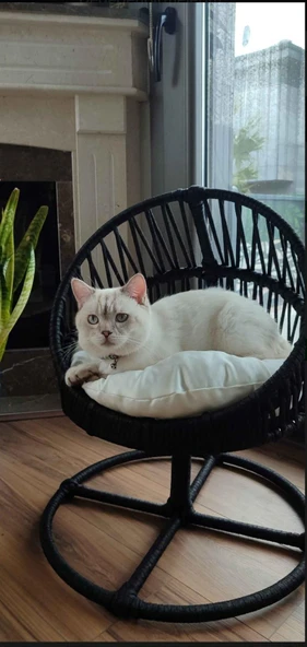 Lepus lüxperi Galaxi Model Mix Kedi Yatağı - Resim 2