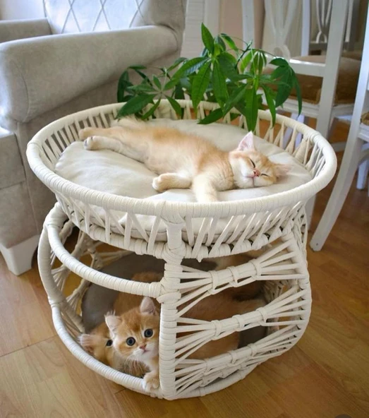 Lepus lüxperi Ranza Model Kedi Yatağı Mix ürün görseli 1