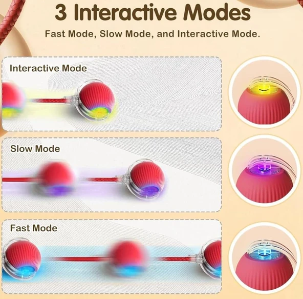 Lepus İnteraktif Şarjlı Kedi Oyuncağı - Resim 6
