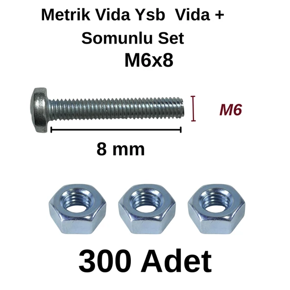 TUĞRA HIRDAVAT M6x8mm Metrik Vida Ysb - Somunlu 300'lü Takım - Resim 3