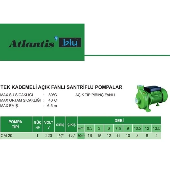 Atlantis CM20 1 HP Tek Kademeli Santrifuj Pompa - Resim 6