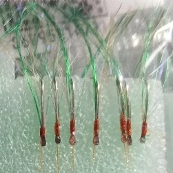 İstavrit Çaparisi 1112301005 ürün görseli 1