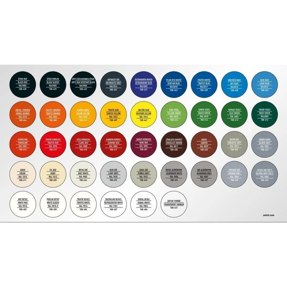 Selsil Rainbow Akrilik Sprey Boya 9005 Parlak Siyah - Resim 2