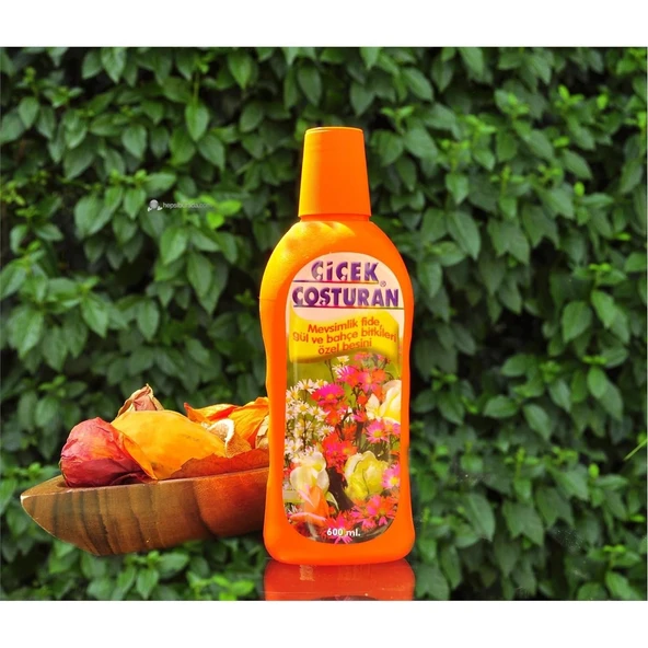 Çiçek Coşturan Mevsimlik Fide Gül Bahçe Bitkileri İçin - Resim 4