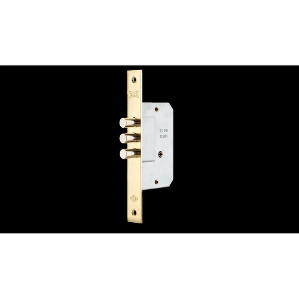 Kale 189 3MF 45 mm Prazis Kilit - Resim 4