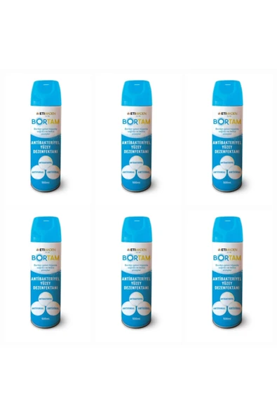 Boron BORTAM DEZENFEKTAN 6 ADET VİRÜS BAKTERİ VE MANTARA KARŞI ETKİLİ AEROSOL ürün görseli 1