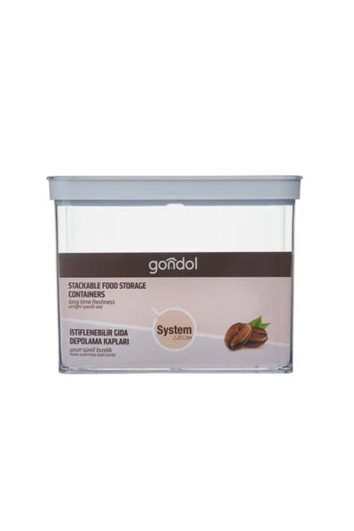 Gondol System Dikdörtgen Saklama Kabı - 2 Lt - Resim 3