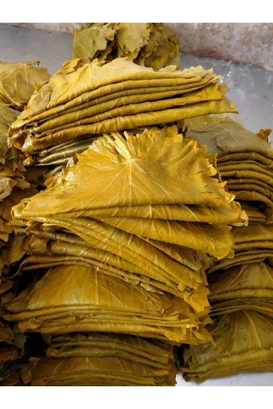 İnce Yaprak Sarımlı Asma Üzüm Yaprağı 5 Kg ürün görseli 1