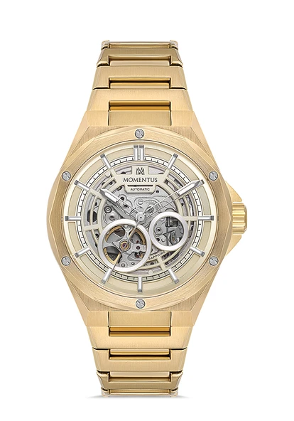 MOMENTUS MM101G-16SG Erkek Kol Saati ürün görseli 1