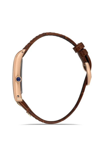 MOMENTUS CM365R-02KR Erkek Kol Saati - Resim 2