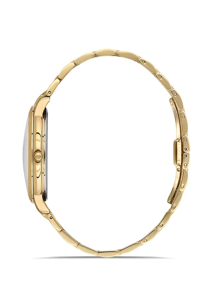 HISLON CL161G-02SG Erkek Kol Saati - Resim 2