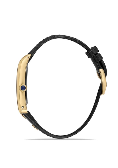 MOMENTUS CM365G-02BG Erkek Kol Saati - Resim 2