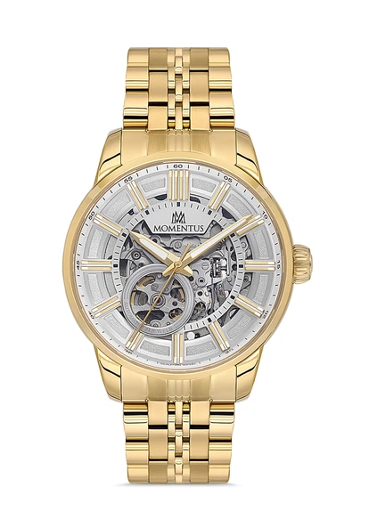MOMENTUS TM380G-16SG Erkek Kol Saati ürün görseli 1