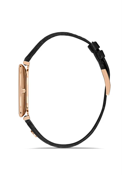 HISLON CL179R-04BR Erkek Kol Saati - Resim 2