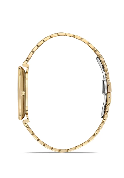 HISLON CL179G-02SG Erkek Kol Saati - Resim 2