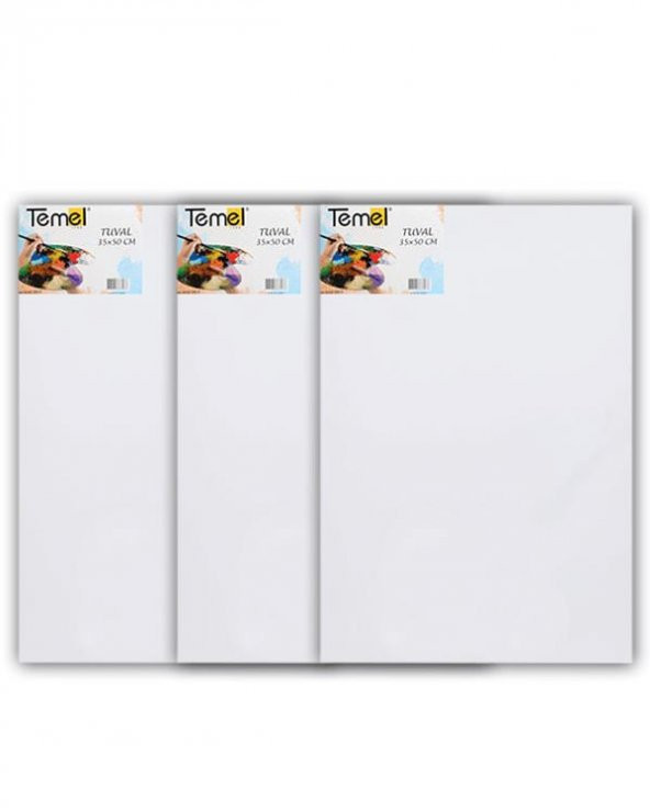 Temel 35x50 cm 3’lü Tuval