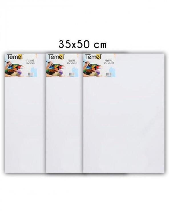 Temel 35x50 cm 3’lü Tuval - 2