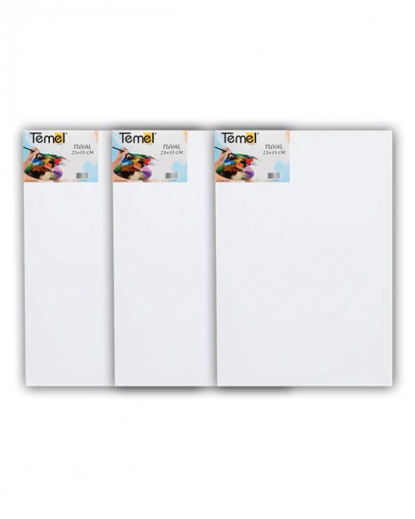 Temel 25x35 cm 3’lü Tuval