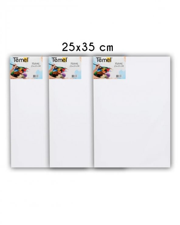 Temel 25x35 cm 3’lü Tuval - 2