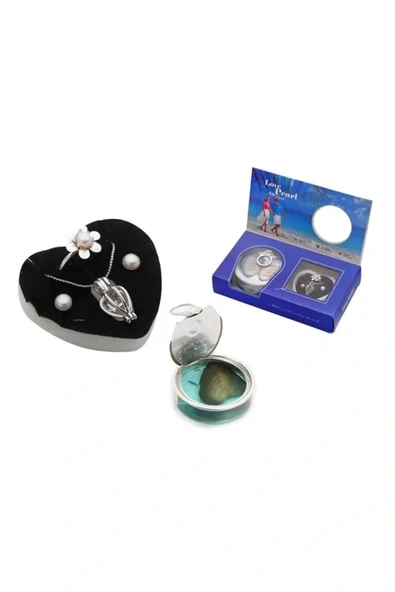 İstiridye içinde Gerçek inci Kolye - Resim 3