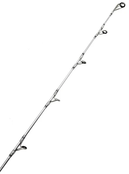 Yek Outdoor Profesyonel Jig Olta Seti Okuma Azores Shore Jigging Spin 304cm 60-150gr 2 Parça Olta Kamışı&Savage Gear SGS8 4000 FD Olta Makinesi - Resim 4