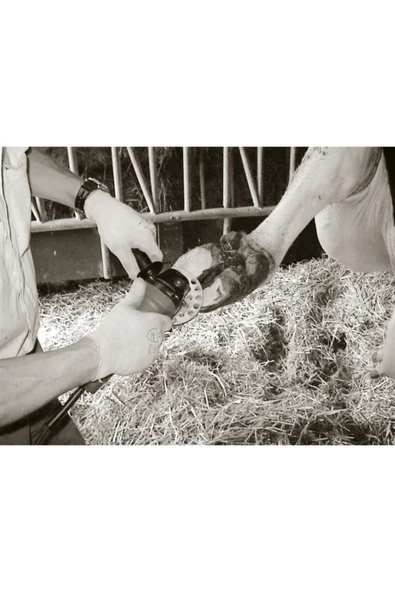 3 Dişli Tırnak Kesme Diski - Resim 2