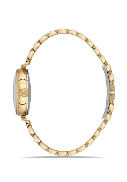 MOMENTUS SS340G-02SG Kadın Kol Saati - Resim 2