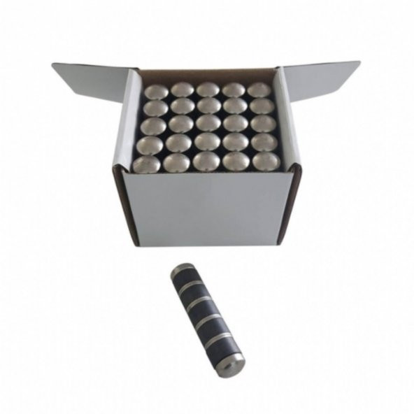 Rumagnet Japon Mıknatıs Metal Başlı 15Adet