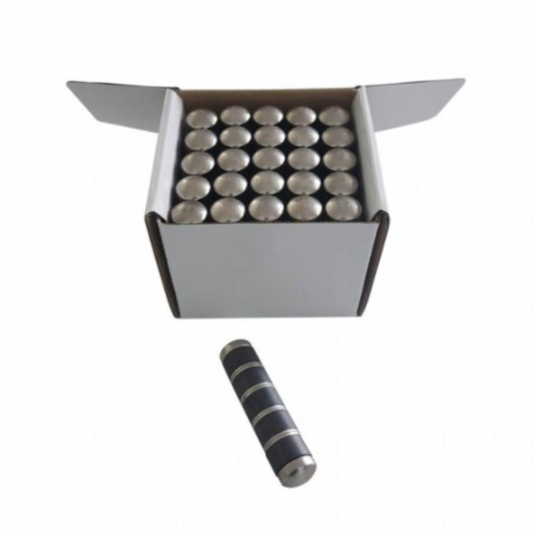 Rumagnet Japon Mıknatıs Metal Başlı 15Adet - 7