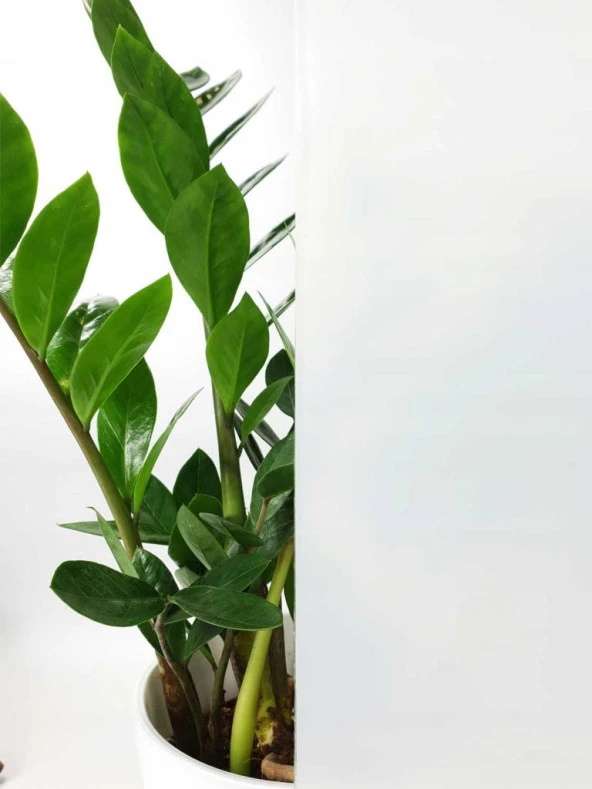 D-c-fix 334-0004 Rakı Beyazı Statik Cam Folyo (45cm x 1mt) - Resim 10