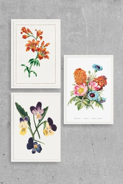 Çiçek Üçlü Ahşap Çerçeveli Tablo 50 x 70 ürün görseli 1