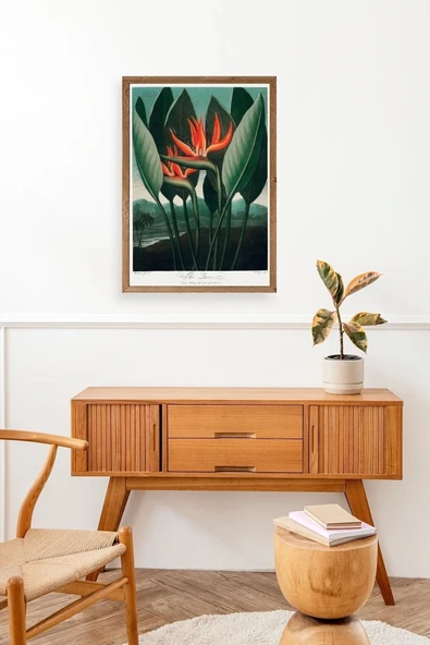 The Queen Plant Ahşap Çerçeveli Tablo 50 x 70 - Resim 3