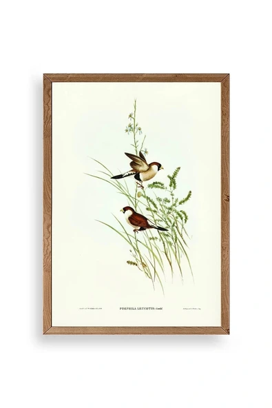 Kuşlar Ahşap Çerçeveli Tablo 23 x 30 ürün görseli 1