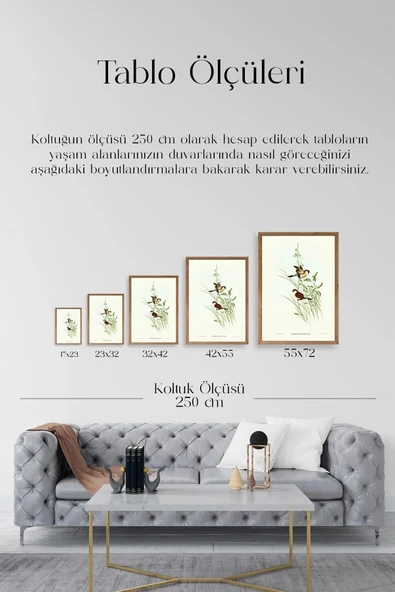 Kuşlar Ahşap Çerçeveli Tablo 23 x 30 - Resim 5