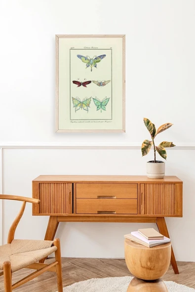 Kelebek Ahşap Çerçeveli Tablo 23 x 30 - Resim 3