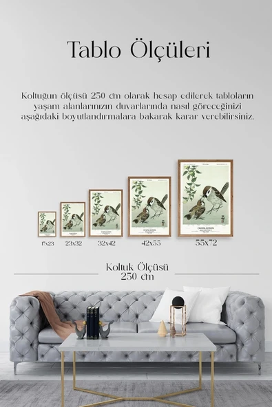 Kuşlar Ahşap Çerçeveli Tablo 23 x 30 - Resim 5