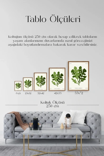 Yaprak Ahşap Çerçeveli Tablo 23 x 30 - Resim 5