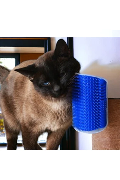 tugce shopping Aveo 1 Adet GRI/MAVI RENK Kedi Kaşınma Aparatı Taranma Aparatı Kaşıma Tırmalama Sürtünme Kedi Masaj - Resim 3