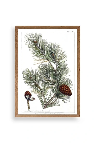 Çam Ahşap Çerçeveli Tablo 23 x 30 ürün görseli 1