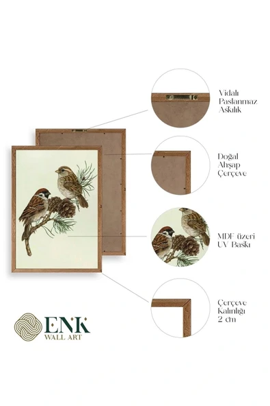 Kuş Ahşap Çerçeveli Tablo 50 x 70 - Resim 4