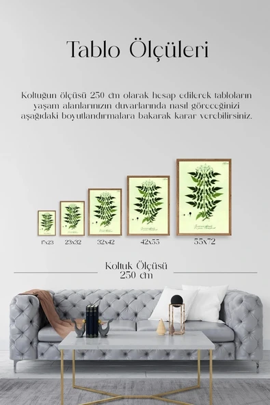 Yapraklar Ahşap Çerçeveli Tablo 23 x 30 - Resim 5