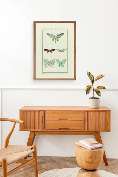 Kelebek Ahşap Çerçeveli Tablo 23 x 30 - Resim 3