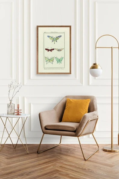 Kelebek Ahşap Çerçeveli Tablo 23 x 30 - Resim 2