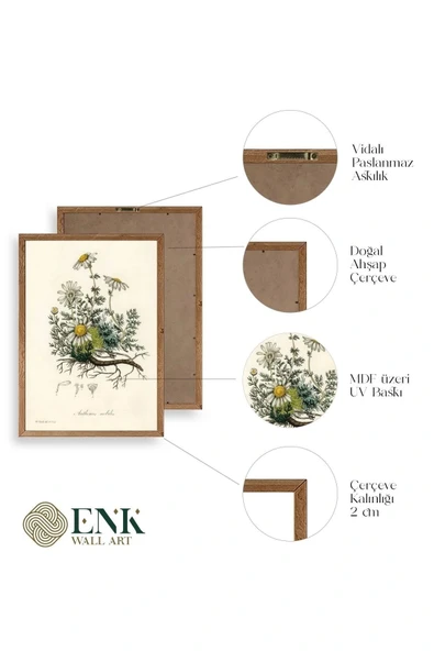 Papatya Ahşap Çerçeveli Tablo 50 x 70 - Resim 4