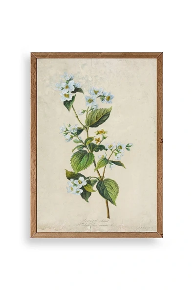 Çiçek Ahşap Çerçeveli Tablo 23 x 30 ürün görseli 1