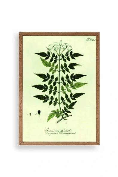 Yapraklar Ahşap Çerçeveli Tablo 23 x 30 ürün görseli 1